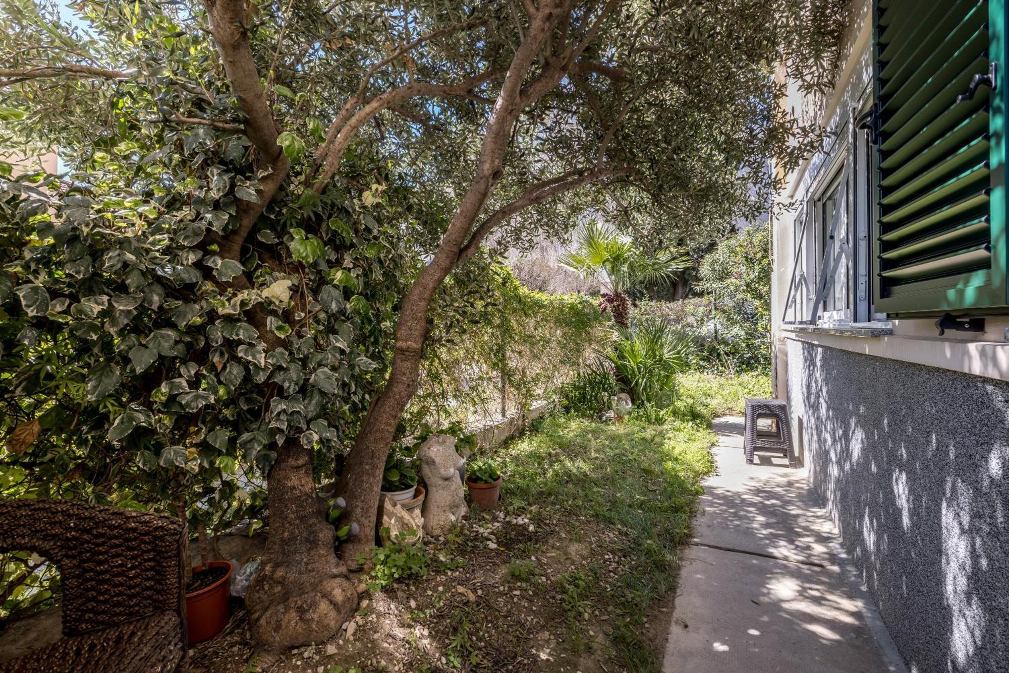 Olive Shade - Apartment Near The Beach สปลิท ภายนอก รูปภาพ